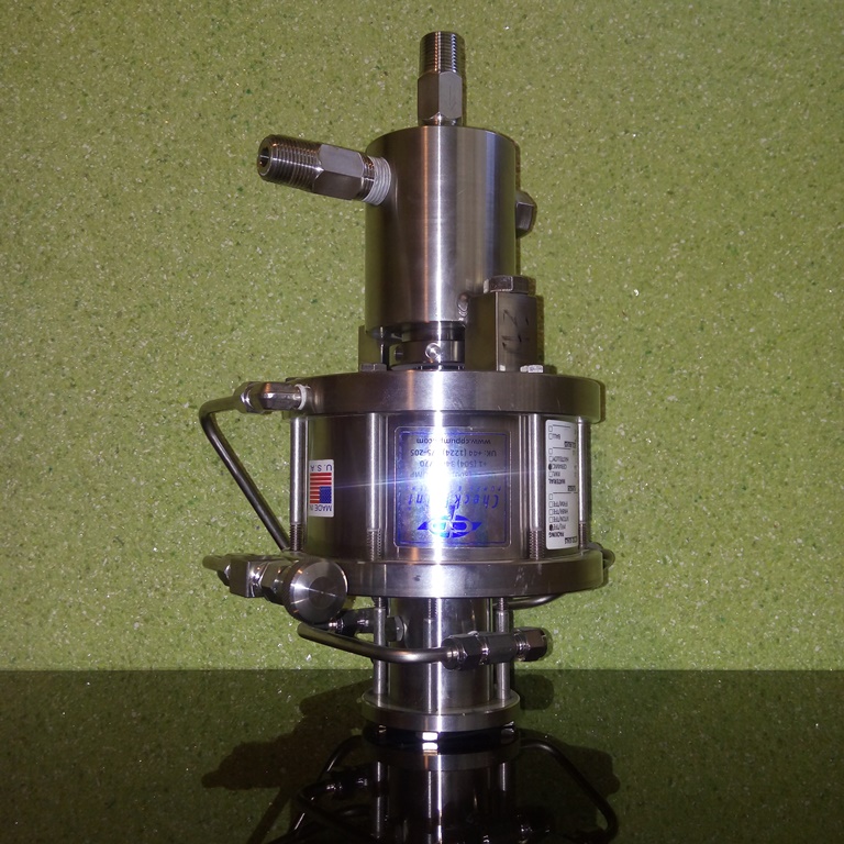 check point pumps